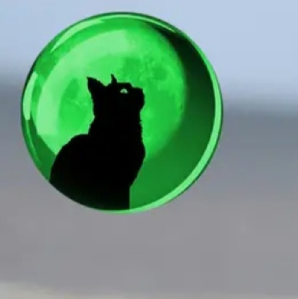 Beautiful Luminescent Black Cat 🐈‍⬛ Necklace Glows in the Dark L👀K